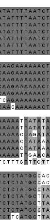 δείχνουν ότι τo psma198 ανήκει με βεβαιότητα στην οικογένεια ρεπλικονίων pci305/pwv02, η οποία συνήθως συναντάται σε είδη του γένους Lactococcus