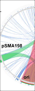 πλασμιδίων psk11b (92% ομοιότητα) και pvf22 (94% ομοιότητα), αντίστοιχ χα. Το πλασμίδιο psk11b έχει απομονωθεί από το στέλεχος L. lactis subsp.