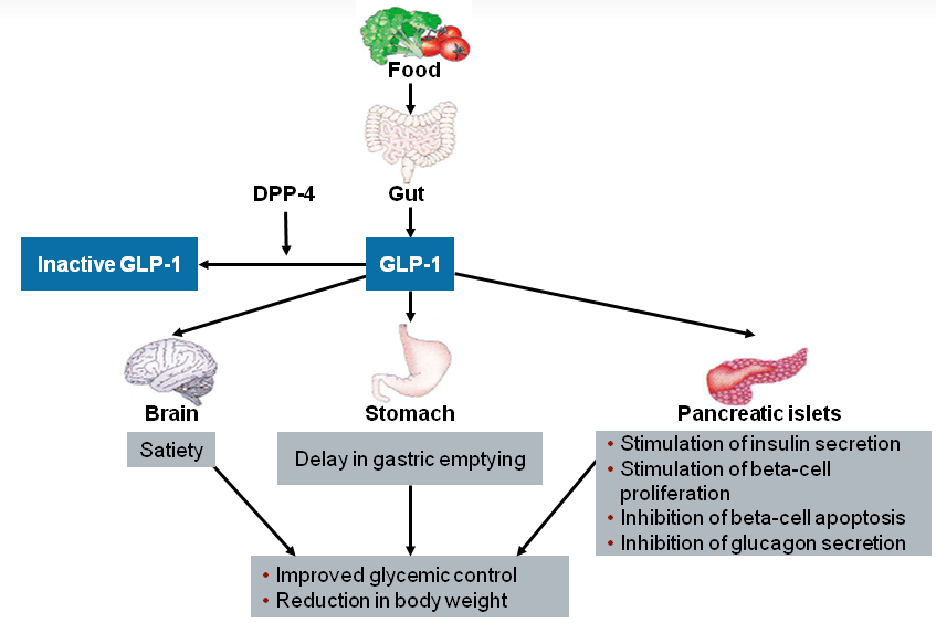Ινκρετινκή ιδιότητα α-dpp4 Ανάλογα