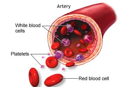 Ορισμός Αίμα: ο ρευστός ιστός που κυκλοφορεί εντός των αιμοφόρων αγγείων (αρτηρίες, φλέβες, τριχοειδή).