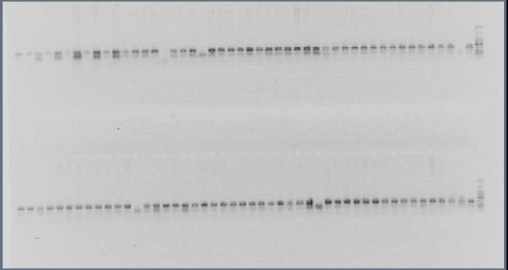 Eικόνα 5 α) E Εικόνα 5 β) Eικόνες 5 (α,β).