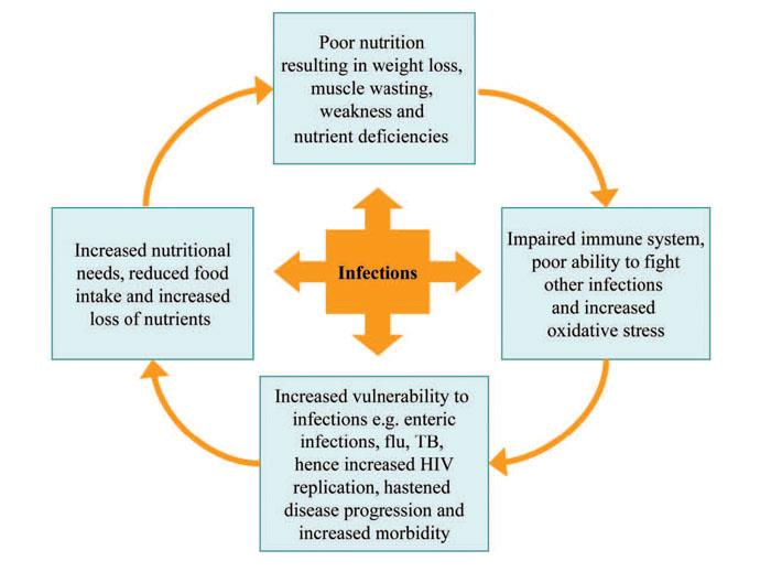 Σχήμα 2.2: Ο φαύλος κύκλος της δυσθρεψίας και της εμφάνισης λοιμώξεων [58].