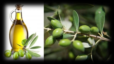 ΠΙΣΤΕΥΕΤΕ ΟΤΙ Η ΚΑΤΑΝΑΛΩΣΗ ΤΟΥ
