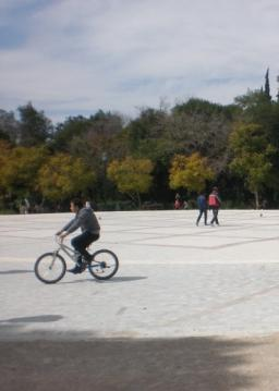 στη φύλαξη και σε άλλες ανάγκες του πάρκου πολιτιστικές δραστηριότητες, κ.α. Κόσμος με ποδήλατο και σκύλους στο Πεδίο του Άρεως Α.