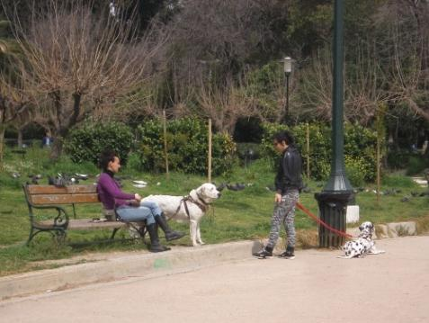 Διοικητική ευθύνη Το πάρκο διοικητικά ανήκει στην Υπερνομαρχία Αθηνών Πειραώς που λόγω του σχεδίου