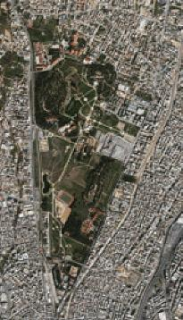ιστό της Αθήνας και μια περιοχή σπάνιου φυσικού κάλλους για την πόλη.