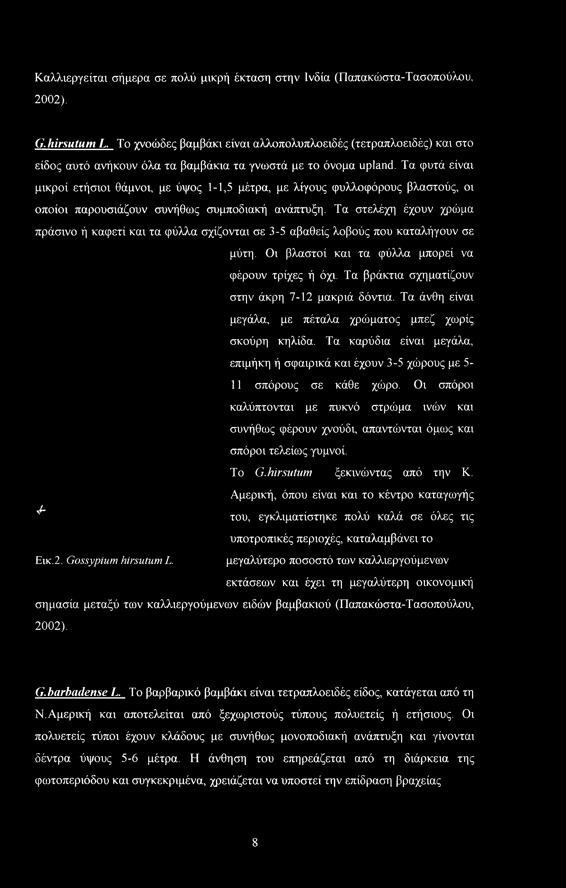 Τα βράκτια σχηματίζουν στην άκρη 7-12 μακριά δόντια. Τα άνθη είναι μεγάλα, με πέταλα χρώματος μπεζ χωρίς σκούρη κηλίδα.