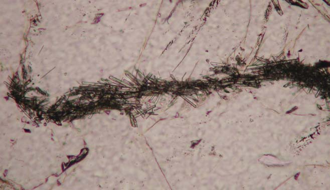 Photomicrographs of fibrolitic