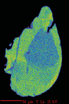 X-ray maps of monazite with