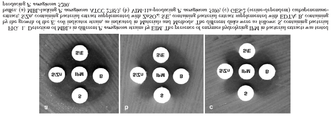 6.2.2. -E-test Aποτελούν έτοιμες ταινίες διαβαθμισμένης συγκέντρωσης ιμιπενέμης -ιμιπενέμης /EDTA.