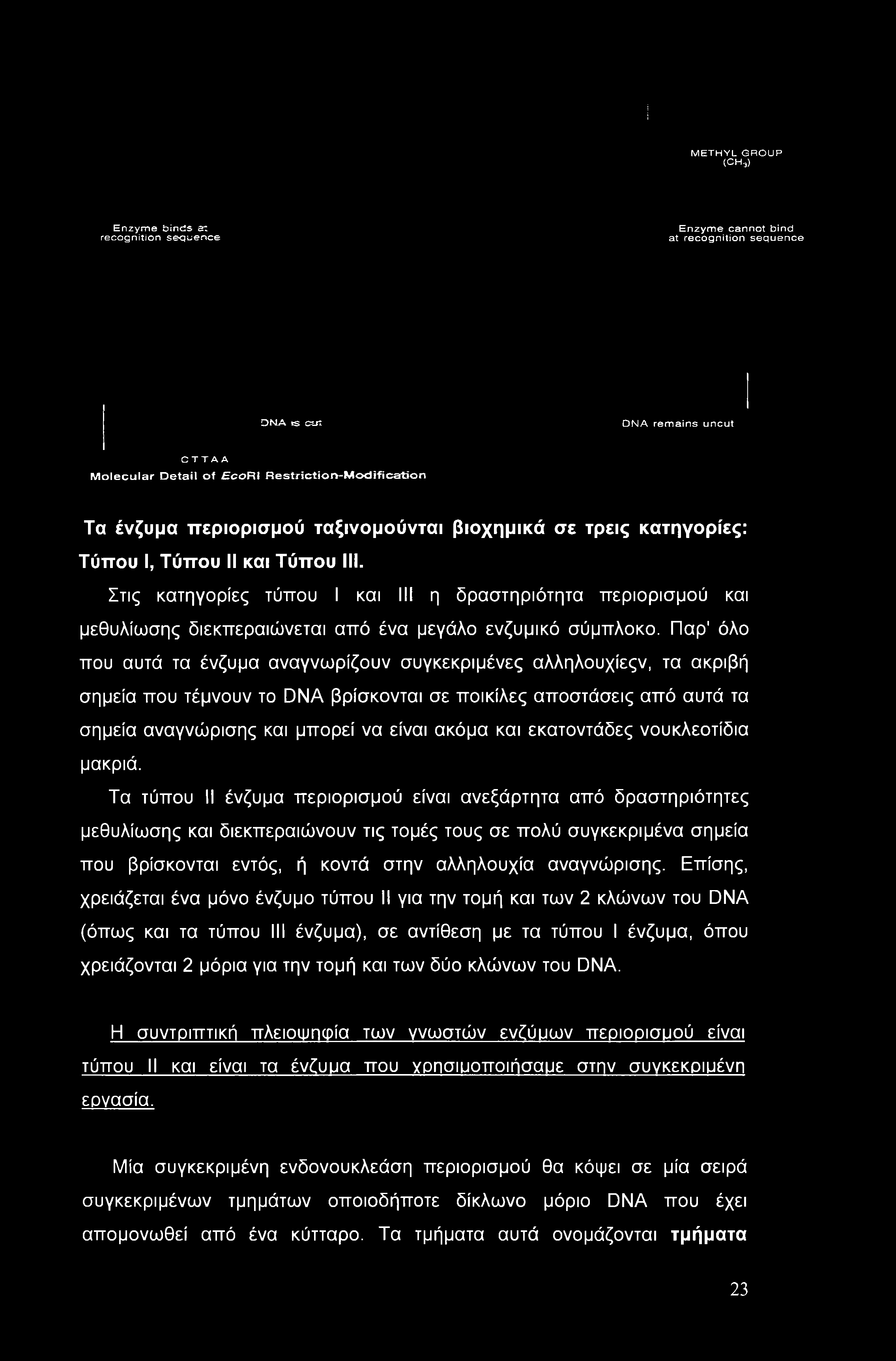 Στις κατηγορίες τύπου I και III η δραστηριότητα περιορισμού και μεθυλίωσης διεκπεραιώνεται από ένα μεγάλο ενζυμικό σύμπλοκο.