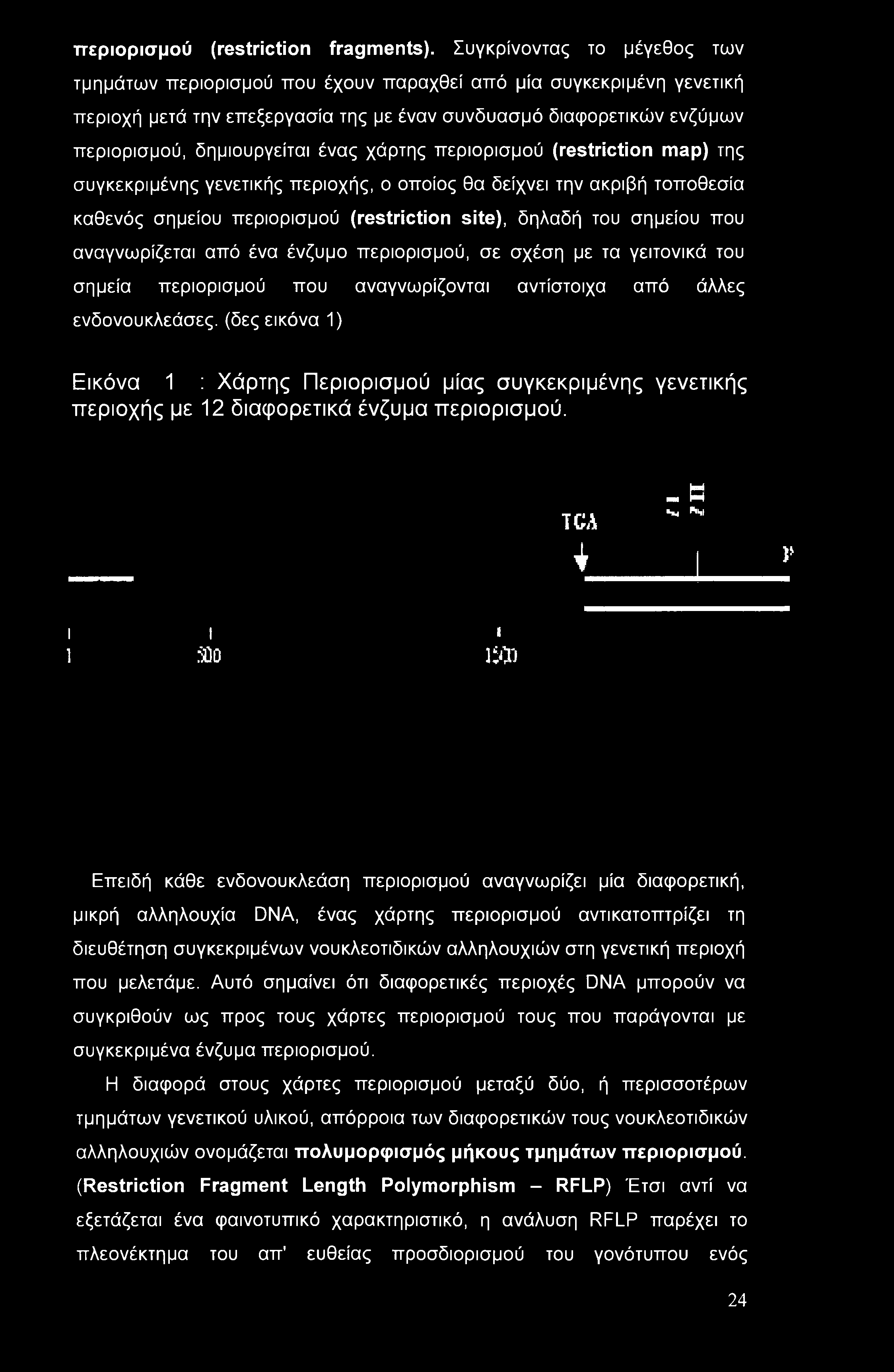ένας χάρτης περιορισμού (restriction map) της συγκεκριμένης γενετικής περιοχής, ο οποίος θα δείχνει την ακριβή τοποθεσία καθενός σημείου περιορισμού (restriction site), δηλαδή του σημείου που