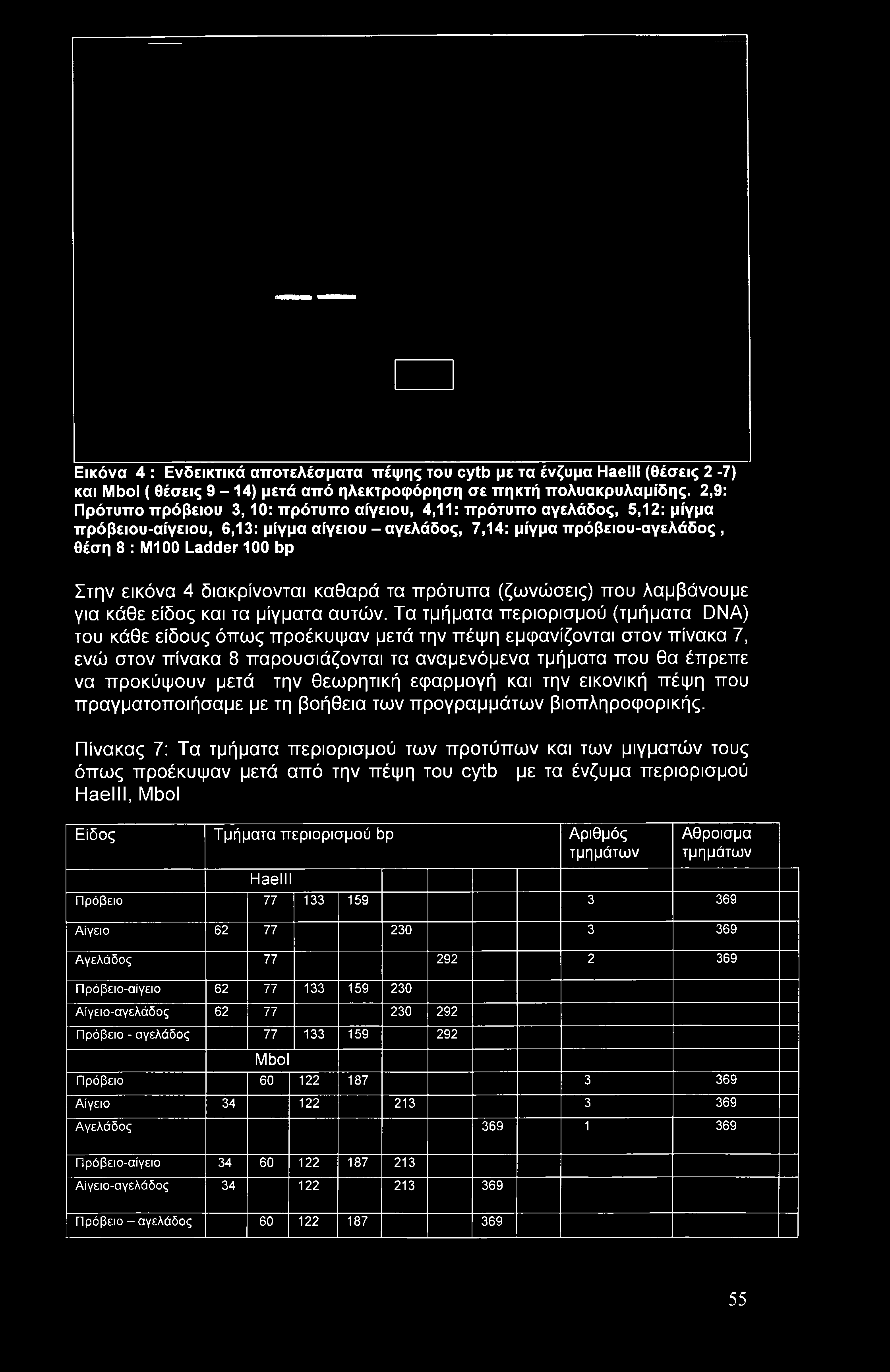 εικόνα 4 διακρίνονται καθαρά τα πρότυπα (ζωνώσεις) που λαμβάνουμε για κάθε είδος και τα μίγματα αυτών.