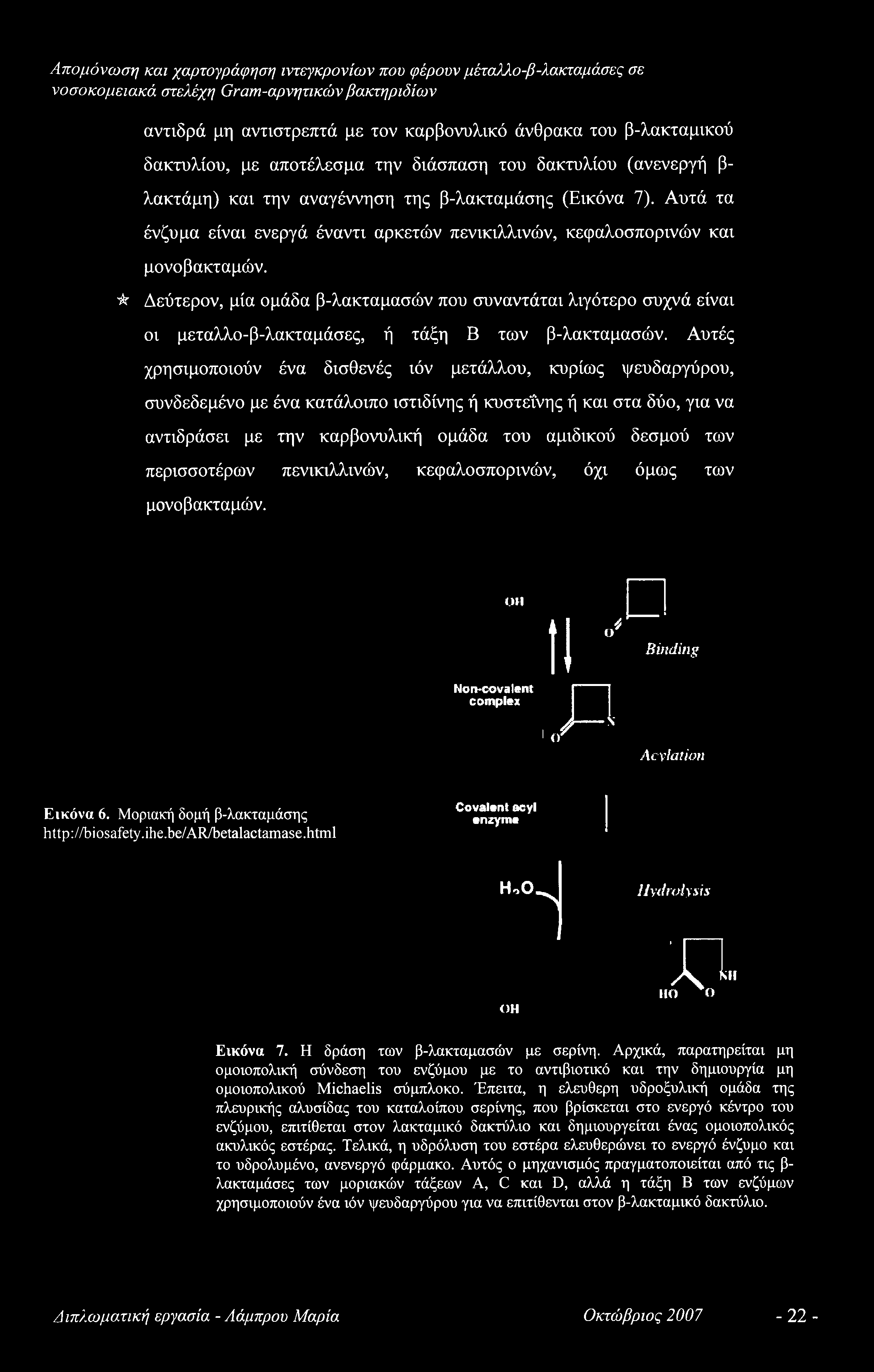 περισσοτέρων πενικιλλινών, κεφαλοσπορινών, όχι όμως των μονοβακταμών. ΟΗ Non-co valent complex II ' Ρ Binding Acylation Εικόνα 6. Μοριακή δομή β-λακταμάσης http://biosafety.ihe.be/ar/betalactamase.