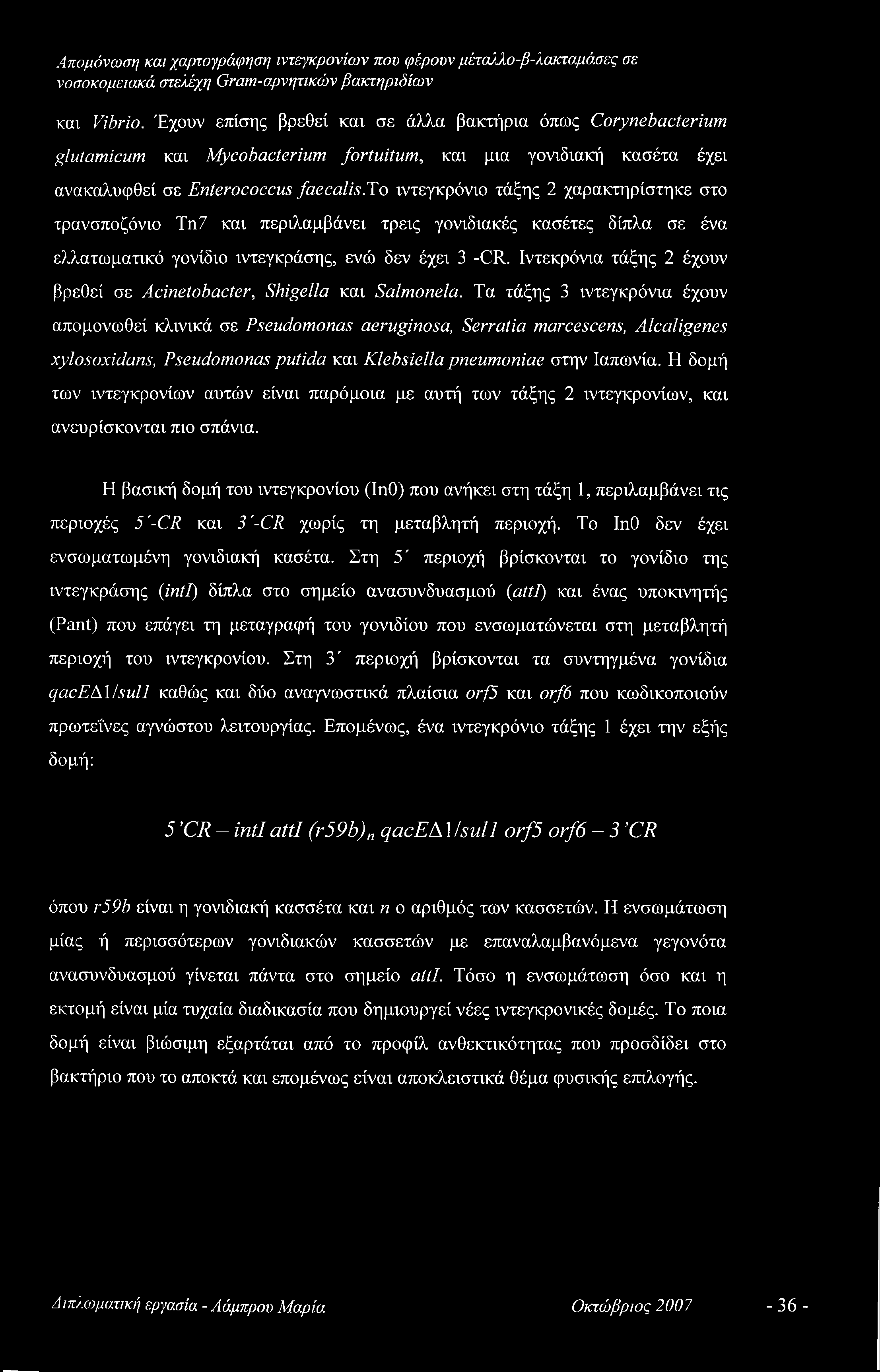 Ιντεκρόνια τάξης 2 έχουν βρεθεί σε Acinetobacter, Shigella και Salmonela.