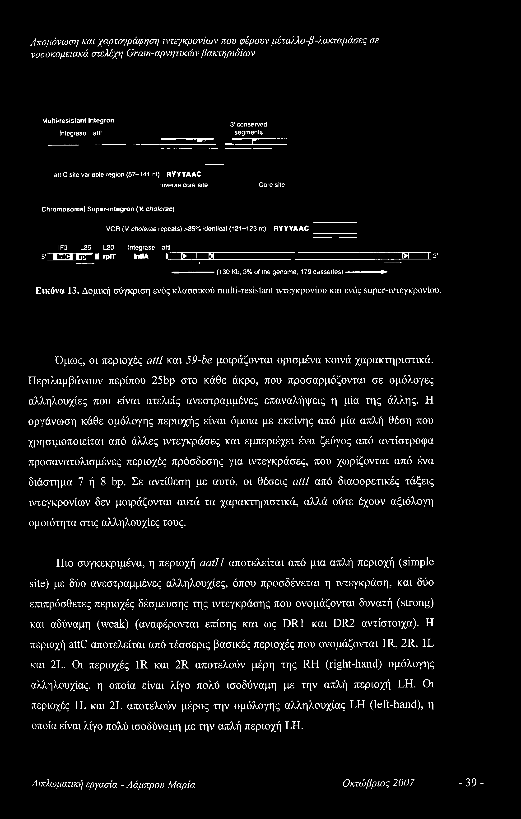 Δομική σύγκριση ενός κλασσικού multi-resistant ιντεγκρονίου και ενός super-ιντεγκρονίου. Όμως, οι περιοχές attl και 59-be μοιράζονται ορισμένα κοινά χαρακτηριστικά.