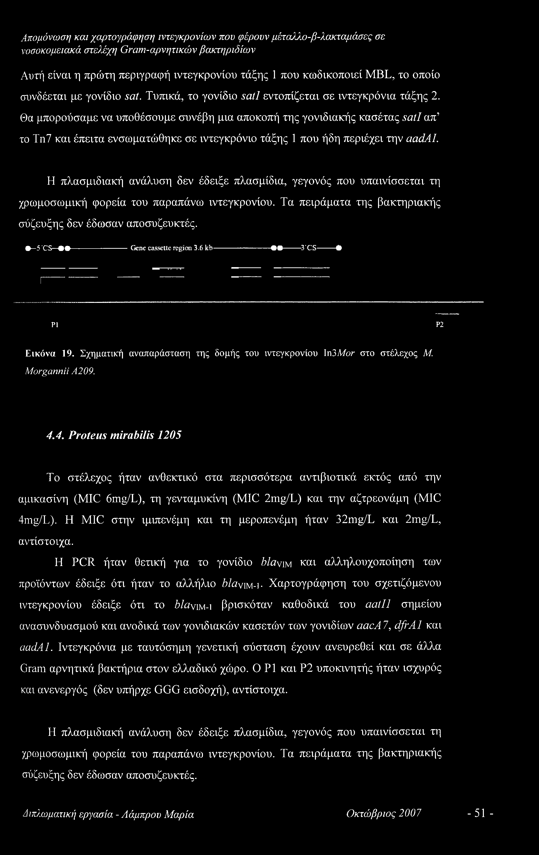 Η πλασμιδιακή ανάλυση δεν έδειξε πλασμίδια, γεγονός που υπαινίσσεται τη χρωμοσωμική φορεία του παραπάνω ιντεγκρονίου. Τα πειράματα της βακτηριακής σύζευξης δεν έδωσαν αποσυζευκτές.