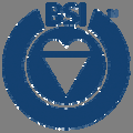 BSI: Ο Διευθύνων Σύμβουλος του BSI Management Systems (Germany) Αρχική πιστοποίηση : 16.07.