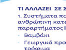 Άρθρο 17: