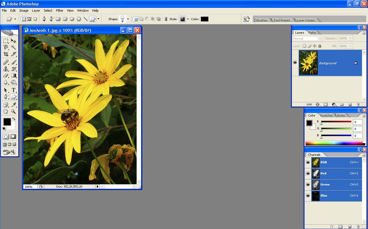εικόνας με ηλεκτρονικά μέσα και στις νέες δυνατότητες που προσφέρει το σχετικό λογισμικό Στάδιο 2 ο : Παρουσίαση O επιμορφωτής παρουσιάζει στους επιμορφούμενους το περιβάλλον εργασίας του Photoshop.