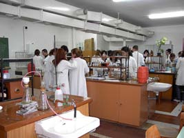 Obavezni predmeti čine obavezno jezgro studijskih programa, dok se za izborne predmete studenti samostalno opredeljuju tako što iz 6 izbornih blokova (sa ukupno 12 izbornih predmeta) biraju po jedan