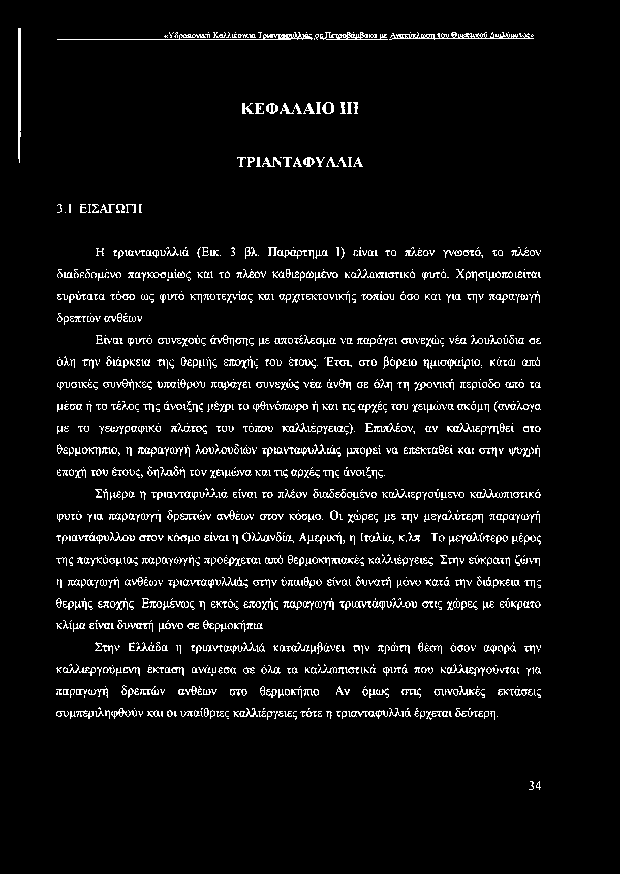 Χρησιμοποιείται ευρύτατα τόσο ως φυτό κηποτεχνίας και αρχιτεκτονικής τοπίου όσο και για την παραγωγή δρεπτών ανθέων Είναι φυτό συνεχούς άνθησης με αποτέλεσμα να παράγει συνεχώς νέα λουλούδια σε όλη