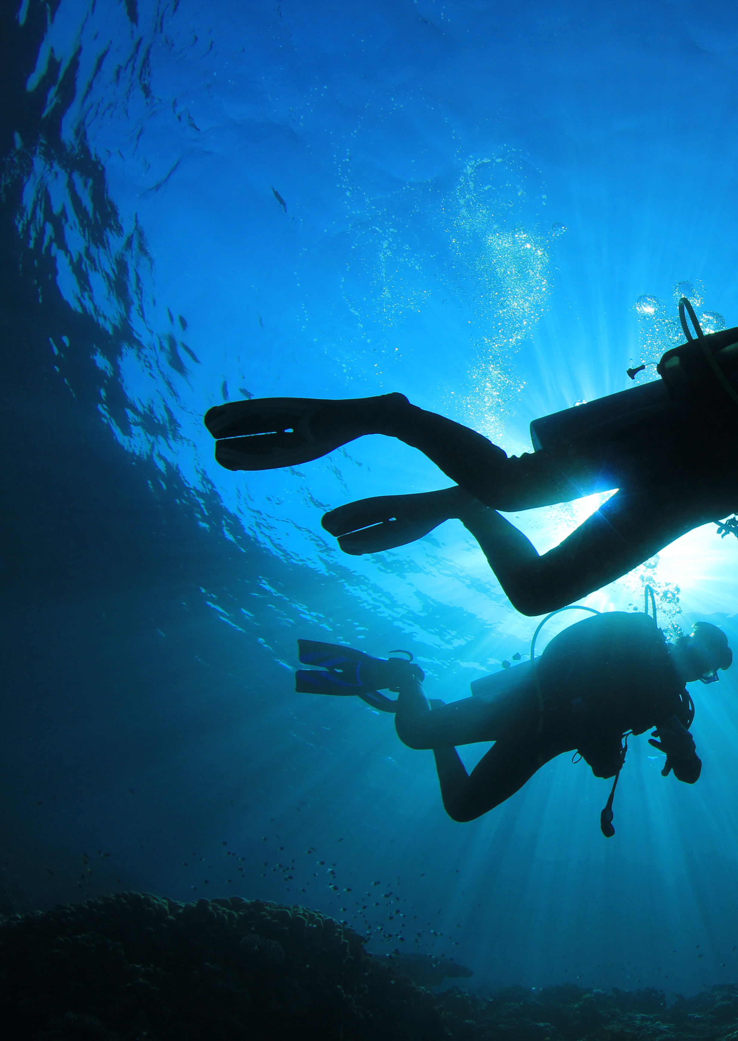 Αυτοδύτης 1. Open Water Diver Ο πρώτος και πιο σημαντικός κύκλος μαθημάτων αυτόνομης κατάδυσης.
