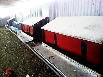 078 11 kg 1 τμχ Για 50 όρνιθες ΦΩΛΙΑ ΩΟΤΟΚΙΑΣ 1,5μ ΜΗΚΟΣ Διαστάσεις