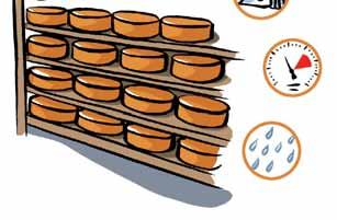 Στάδιο 4 : η ωρίμαση Το τυρί μένει μερικές μέρες έως και πολλούς μήνες σε ειδικά κελάρια, όπου ελέγχονται η θερμοκρασία, η υγρομετρία (υγρασία) και ο εξαερισμός.