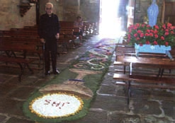 hortensias o punto de cor predominante nas alfombras florais; no que atinxe, as variantes de verdes: mirto, mimosa e tulla; xunto cos tostados de sementes e distintos moídos serviron de