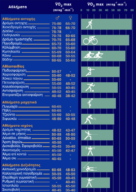 23 VO 2 max