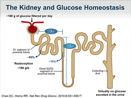 Sodium-glucose