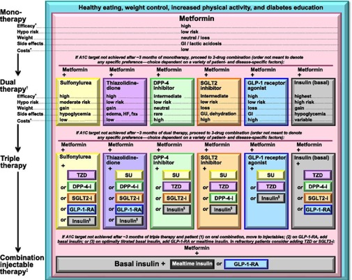 Antihyperglycemic Therapy in Type 2 Diabetes American Diabetes Association Standards of