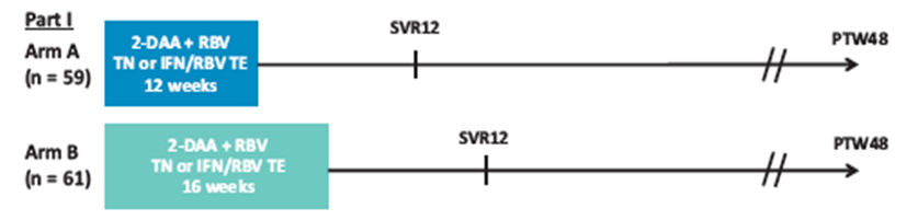 AGATE-I: 2 D + RBV in Genotype 4 with Cirrhosis 100 90 80 70 60 50 40 30 20 10 0 96 100