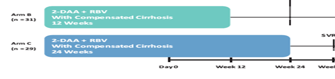 AGATE-II: 2 D + RBV in Genotype 4 with Cirrhosis in Egypt 100 90 80 70 60 50 40 30 20 10