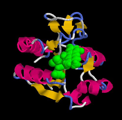 Rossman H θέση