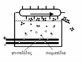 Κεφ.3 Επίπλευση αντικατάσταση των ηλεκτροδίων, ενώ στα πλεονεκτήµατα, οι µικρές απαιτήσεις σε χώρο, το µικρό µέγεθος των φυσαλίδων, η ελάχιστη δηµιουργία τύρβης (έτσι αποµακρύνονται εύθραυστες