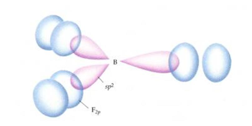 Υβριδισμός Παράδειγμα: BF 3 Σχηματισμός τριών σ δεσμών με επικάλυψη τριών sp 2