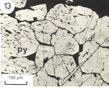 Ανακλώµενο φως και //Ν (Py = Σιδηροπυρίτης, Cpy = χαλκοπυρίτης). Εικ.13.
