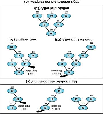 Αναδιάταξη σε