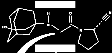 Vildagliptin a potent and selective DPP-4 inhibitor -Υψηλή εκλεκτικότητα για DPP-4 -Υψηλή σύνδεση με το ανθρώπινο ένζυμο.