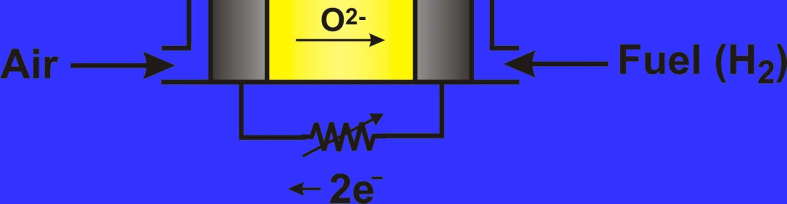 Anode (e.g.