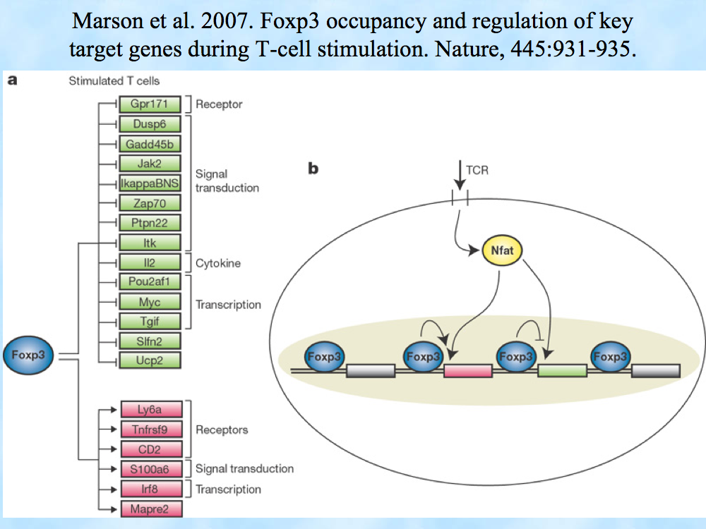 regulation of key target