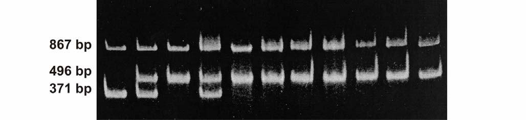 PCR-ARMS Molecular Diagnostics, 2