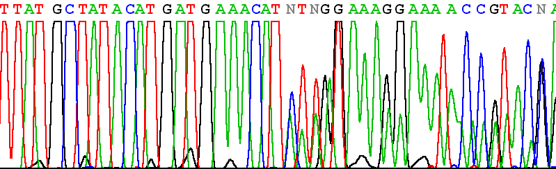 AAAAAAAATACC καρκίνος προστάτη * mut 2003 2046 2024del5 AT G CTATACAT GAT GAAACATCT