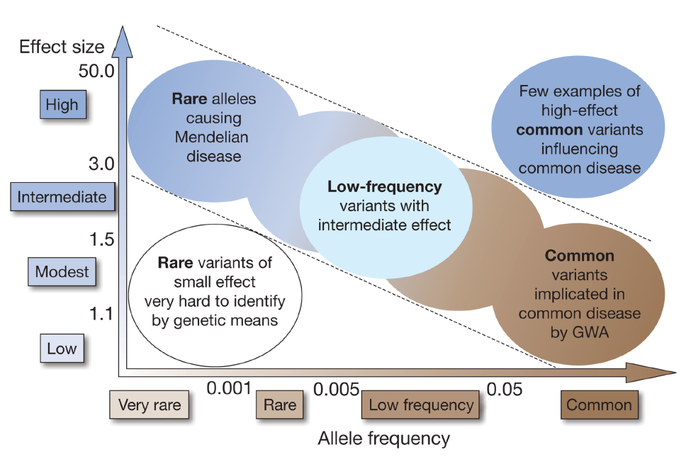 Missing heritability Manolio T. et al.