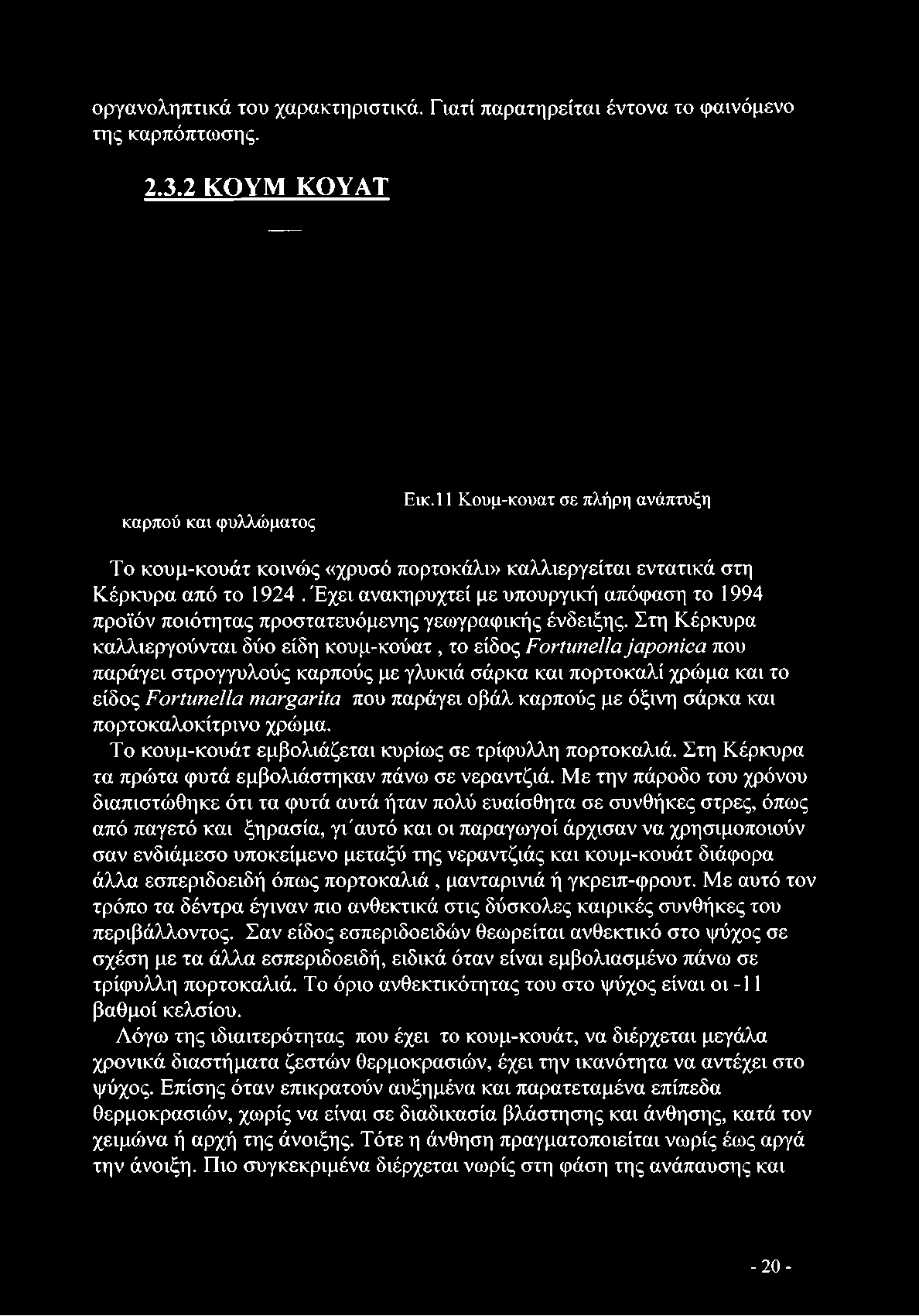 καρπούς με όξινη σάρκα και πορτοκαλοκίτρινο χρώμα. Το κουμ-κουάτ εμβολιάζεται κυρίως σε τρίφυλλη πορτοκαλιά. Στη Κέρκυρα τα πρώτα φυτά εμβολιάστηκαν πάνω σε νεραντζιά.