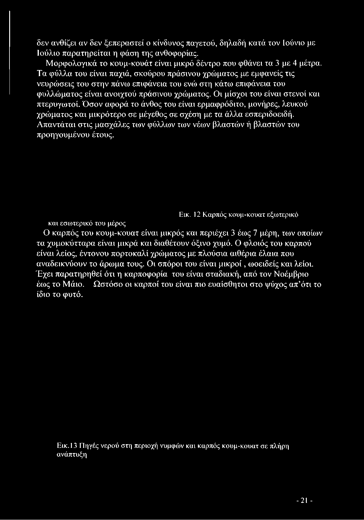 Όσον αφορά το άνθος του είναι ερμαφρόδιτο, μονήρες, λευκού χρώματος και μικρότερο σε μέγεθος σε σχέση με τα άλλα