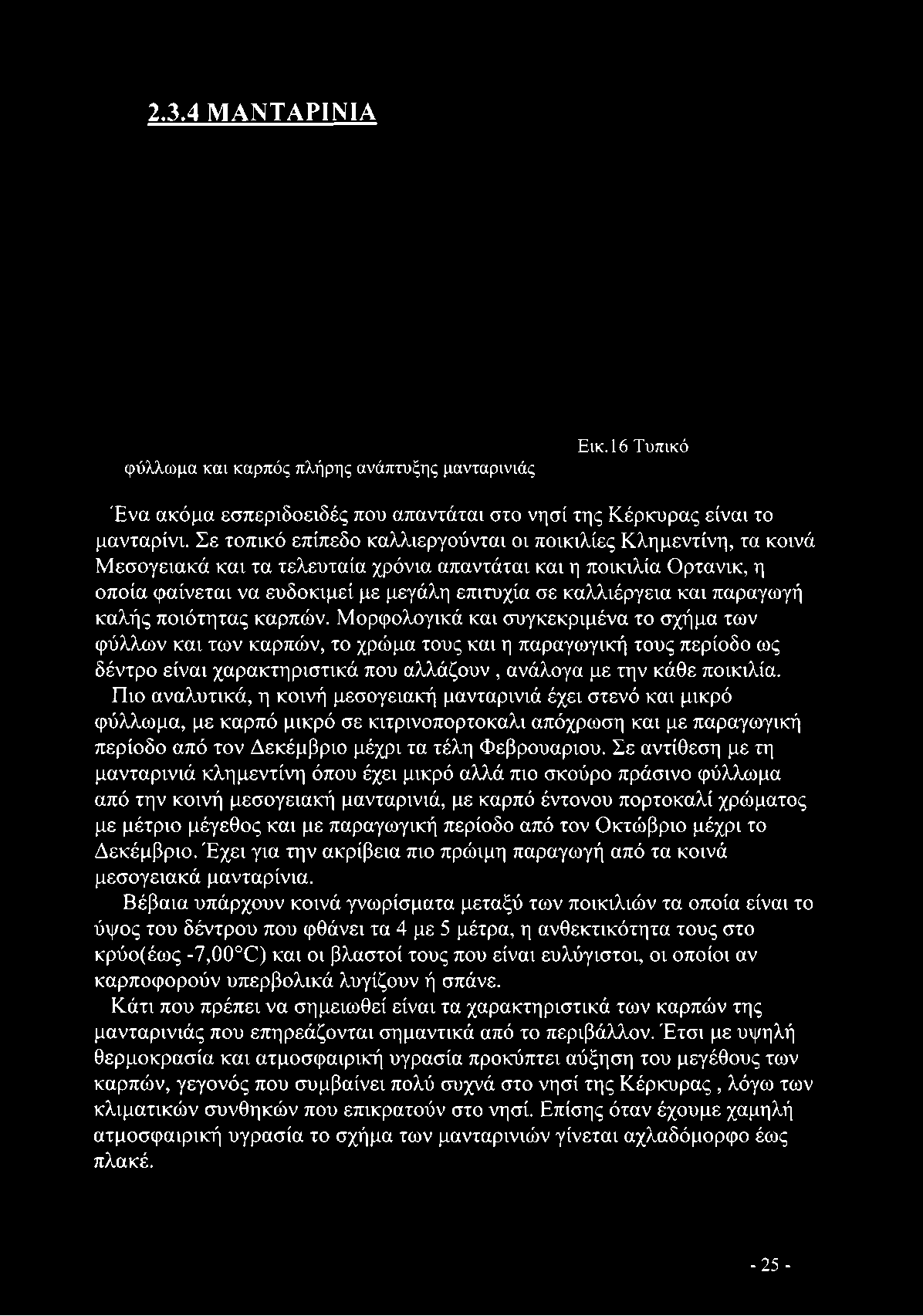 Πιο αναλυτικά, η κοινή μεσογειακή μανταρινιά έχει στενό και μικρό φύλλωμα, με καρπό μικρό σε κιτρινοπορτοκαλι απόχρωση και με παραγωγική περίοδο από τον Δεκέμβριο μέχρι τα τέλη Φεβρουάριου.