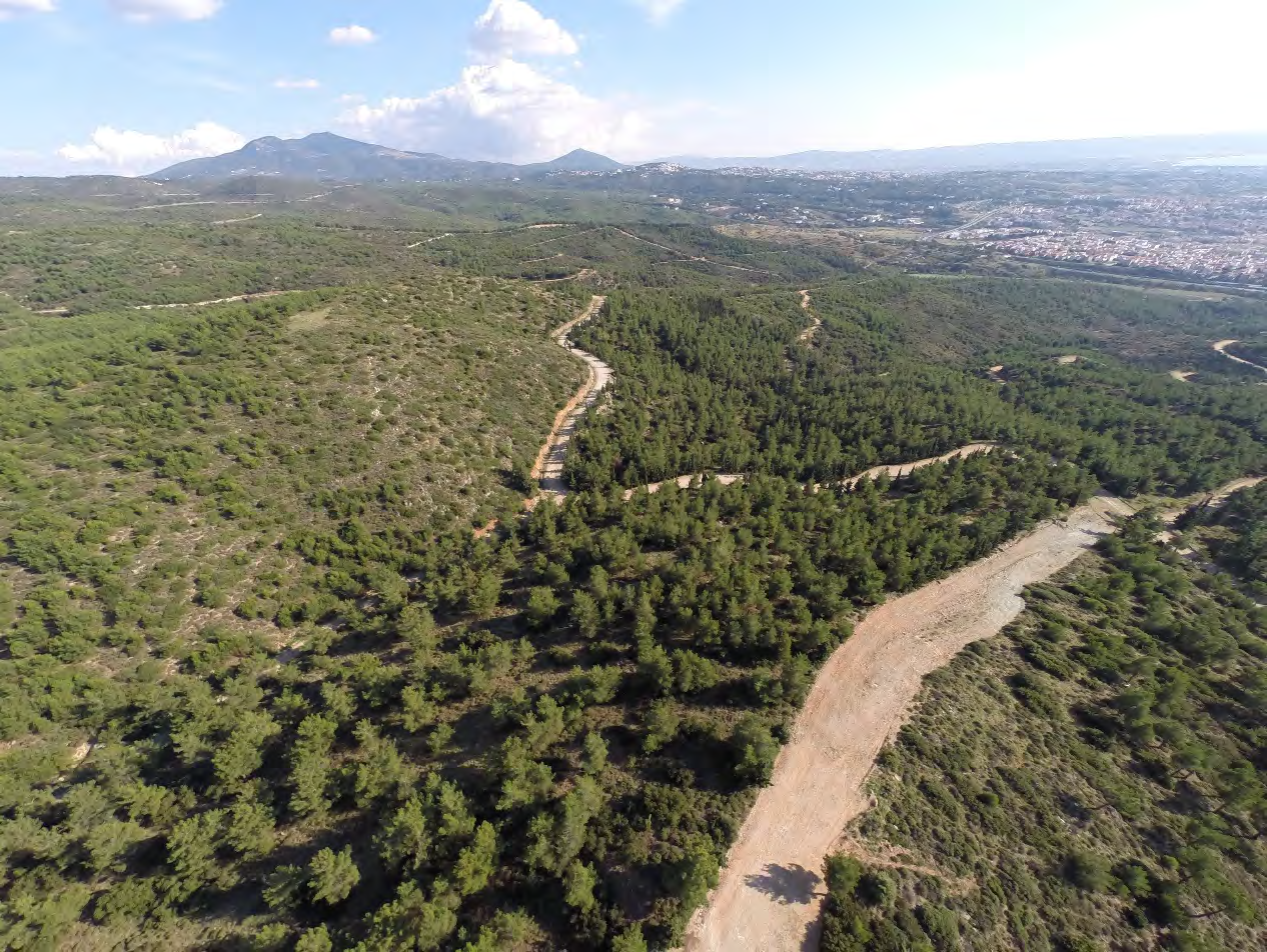 Περιοχή Μελέτης 2.2 Ρέμα Ουτσάρσο Το ρέμα Ουτσάρσο είναι ένα πολύ μικρό ρέμα, ένα από τα μικρότερα του περιαστικού δάσους, με λεκάνη απορροής μικρότερη του ενός τετραγωνικού χιλιομέτρου (km 2 ).